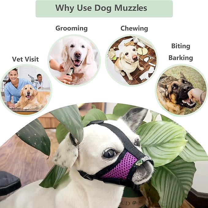 Dog Muzzle, Breathable Mesh Muzzles for Small Dogs 5-15bls, Chihuahua Muzzle for Biting Barking, Adjustable Puppy Muzzle XS Extra Small Muzzle (Comfy-Purple)