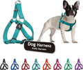 Kruz No Pull Dog Harness (Chest 21”-30”,Weight 22-53 lbs) Heavy-Duty Pet Harness for Medium Breeds, Ultra-Comfort Fit, Lifetime Durability, Adjustable Dog Harness No Pull Design (Mint Green, Medium)