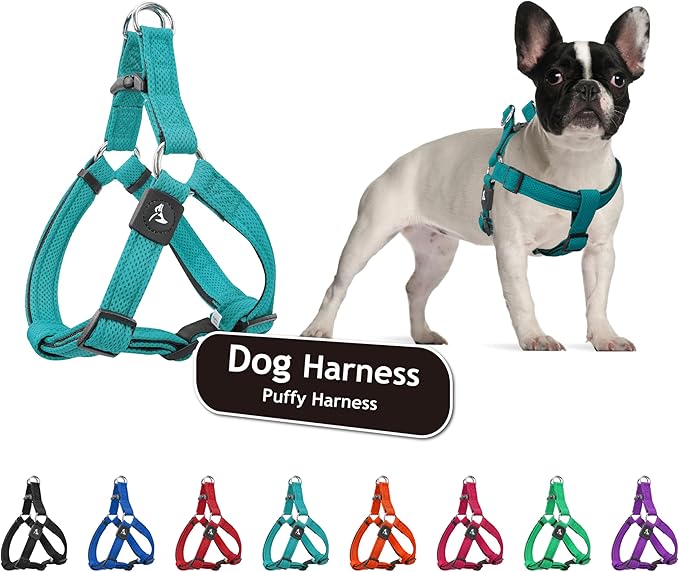 Kruz No Pull Dog Harness (Chest 26”-38”, Weight 44-88 lbs) Heavy-Duty Pet Harness for Large Breeds, Ultra-Comfort Fit, Lifetime Durability, Adjustable Dog Harness No Pull Design (Turquoise, Large)