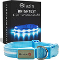 Blazin Light Up Dog Collar - The Original LED Dog Collar - USB Rechargeable - Waterproof - 1,000 Feet of Visibility - Dog Collar Light for Small, Medium, Large Dogs - USA Brand