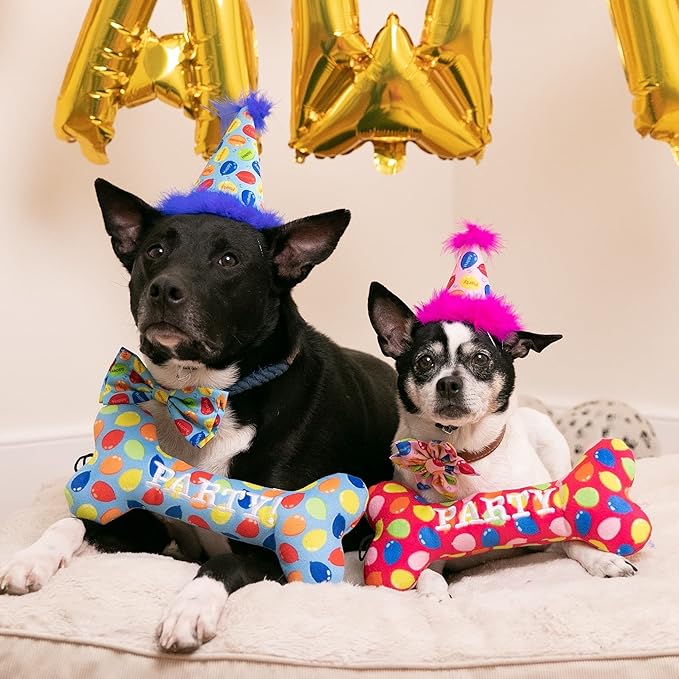 Huxley & Kent Pet Party Hat for Dogs & Cats - Fun Birthday Hat with SnugFit Adjustable Straps - Comfy Pet Costume Accessory for Parties, Gotcha Days & Celebrations - Blue, Small