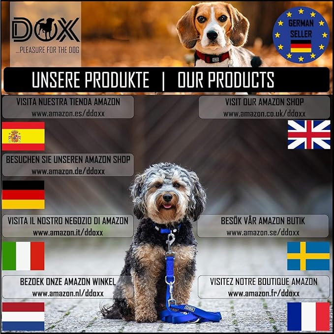 DDOXX Airmesh Dog Collar - Strong and Adjustable Collars Dogs - Medium (Black)