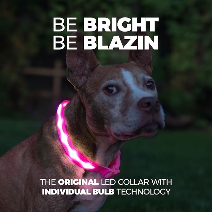 Blazin Light Up Dog Collar - The Original LED Dog Collar - USB Rechargeable - Waterproof - 1,000 Feet of Visibility - Dog Collar Light for Small, Medium, Large Dogs - USA Brand
