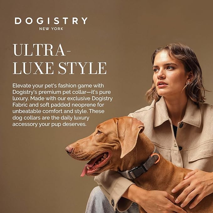 The DOGISTRY - City Collar - Steel - Premium Dog Collar with Padded Neoprene & Signature Fabric - Refined Design & Everyday Luxury - Large