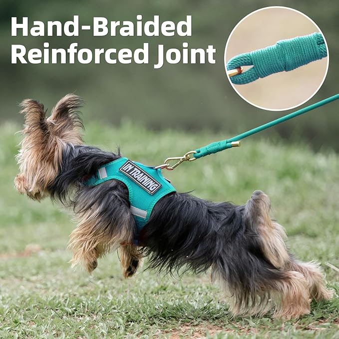 Durable Handwoven Dog Leash for Small & Medium Dogs, 5/16 inch Rope Lead with Anti-Tangle Swivel Clip, Soft & Lightweight, 5FT Long – Ideal for Daily Walking & Training (MARRS Green)