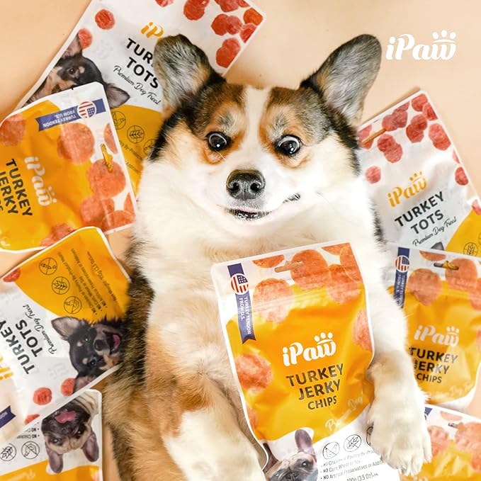 iPaw Chicken Chips Dog Treats for Puppy Training, All Natural Human Grade Dog Treat, Hypoallergenic, Easy to Digest (Chicken Chips), 5 Packs