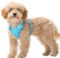 BARKBAY No Pull Dog Harness Large Reflective Dog Harness with Front Clip and Easy Control Handle for Walking Training Running with ID tag Pocket(Blue,XS)