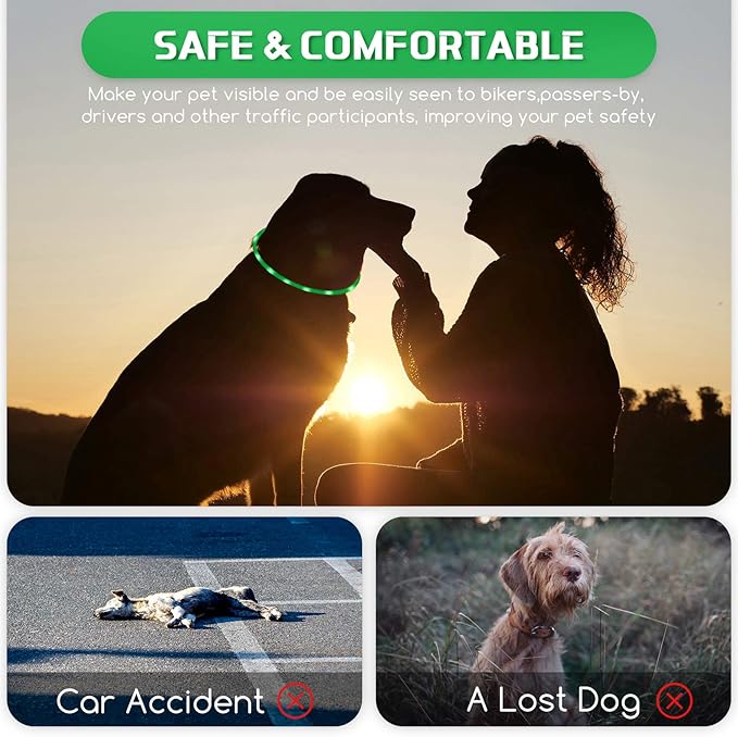 Weewooday 5 Pcs Light Up Dog Collars LED Rechargeable USB Dog Collar for Night Walking Lighted Glow in The Dark Adjustable Silicone Safety Necklaces with 3 Flashing Modes for Small Medium Large Puppy