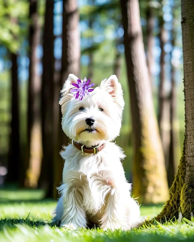 PET SHOW 20 Pack/10 Pairs Purple Curly Dog Hair Bows with Rubber Bands for Small Medium Dogs Girl Boy Spiral Puppy Swirl Topknot Cat Holiday Hair Accessories Pet Favor Gift(Purple)