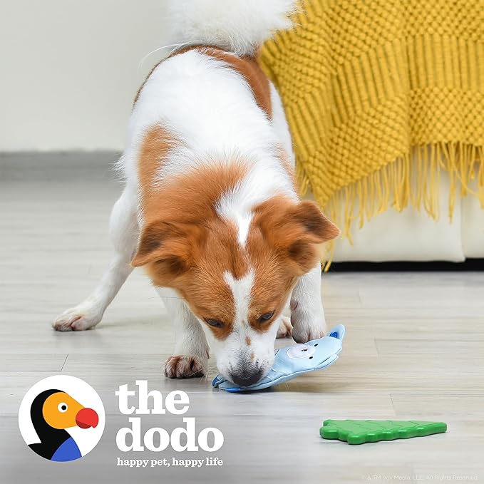 The Dodo Woodland Animals Stuffingless 2pc Dog Toy Set: Bear & Tree; No Plush Squeaky Bear Flattie Dog Toy + Rubber Tree Chew Toy; Durable Toys for Dogs