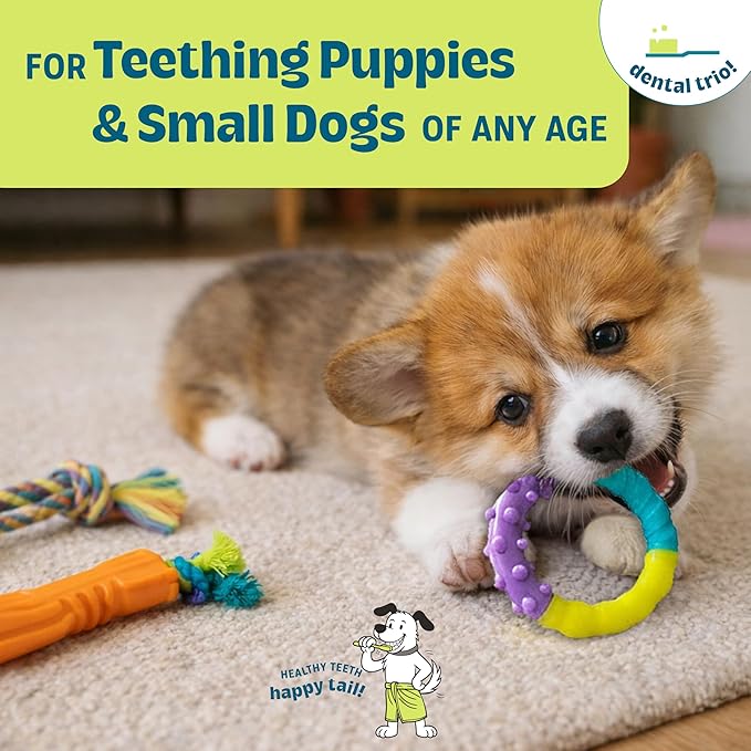 Pupstages Orka Puppy 3 Pack Dental Chew Toys, Multi-Textured, Tug Rope & Fetch, Teething Puppies & Small Dogs, 10.5"