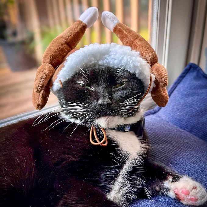 Huxley & Kent Pet Hat | Turkey Tester (Extra-Large) | Fun Thanksgiving Holiday Hat for Dogs/Cats | Cute, Comfortable and Fun | SnugFit Strings for Best Fit