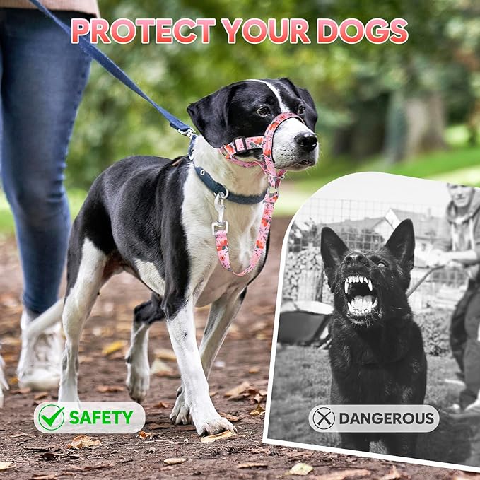 Dog Head Collar, Printed No-Pull Headcollar, Adjustable Dog Head Halter Gentle Lead with Safety Link, 3 Colors Muzzle Leash for Small Medium Large X-Large Dogs Easy Walks (Medium, Mimosa)