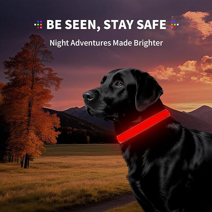 PetIsay Dog Light up Collar for Night Walking - High Visibility LED Dog Collar - Rechargeable - Waterproof - Reflective - Adjustable Lighted Glow Collars(Red,Medium)