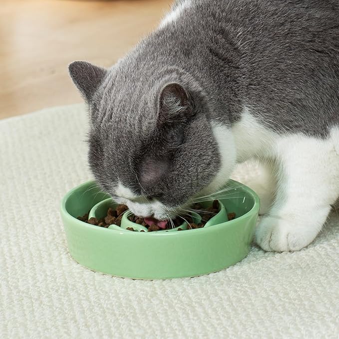 TRUVIC Ceramic Slow Feeder Dog Bowls Small Breed, 0.6 Cup Slow Feeder Cat Bowls for Fast Eaters, Ceramic Dog Food Dish no Black Chin, Puzzle Bowl for Small Dogs and Cats, Green