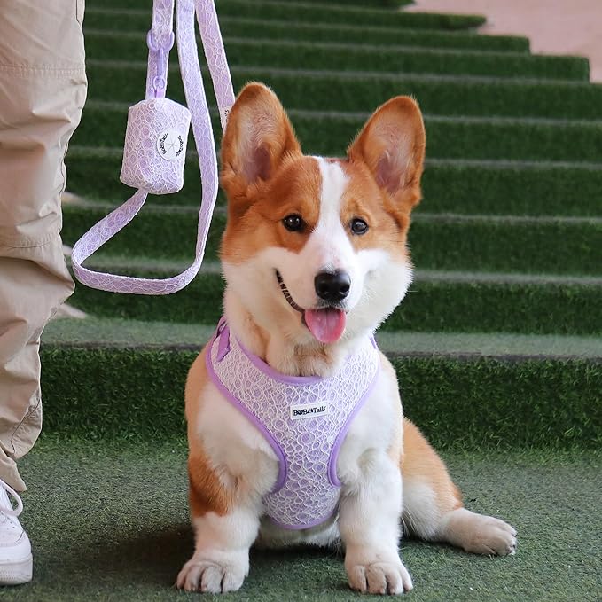 No Pull Dog Vest Harness for Small&Medium Dogs, Side Clip Adjustable Pet Vest, Soft Breathable, Fashion Dog Harnesses for Walking, Running, Shopping (Purple, XS)