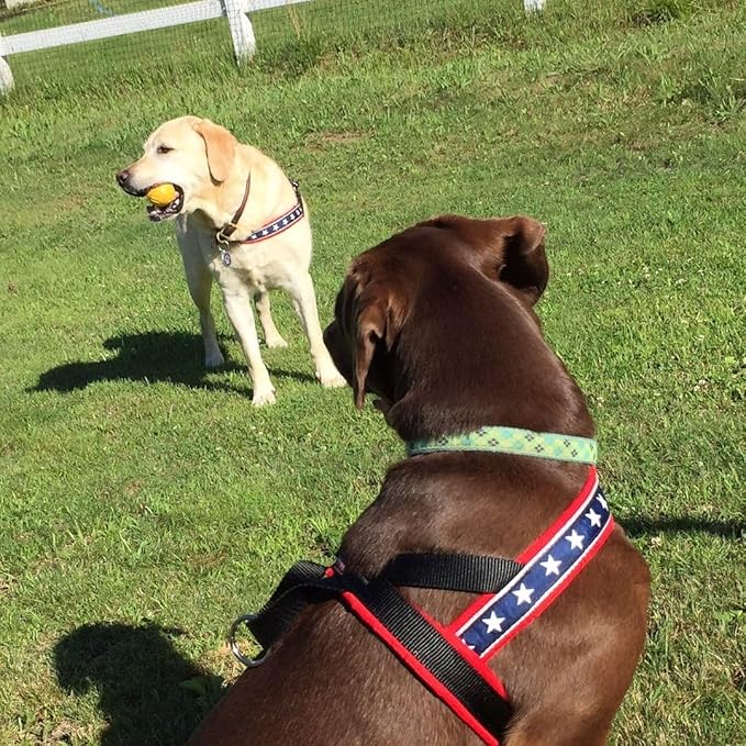 ComfortFlex Patriotic Dog Harness – Fully Padded, Adjustable, Lightweight No-Choke, No-Pull, Non-Chafing Design for Active Dogs, Enhanced Control, Made in The USA - XLarge, The Patriot