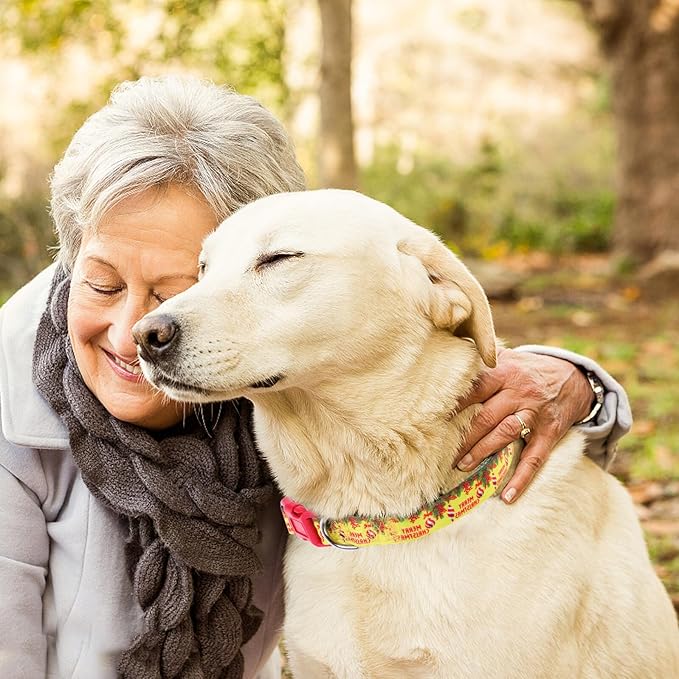 Gadpiparty Christmas Dog Collar with Quick Release Buckle Soft Adjustable Puppy Collar for Small Dogs in Yellow M Size