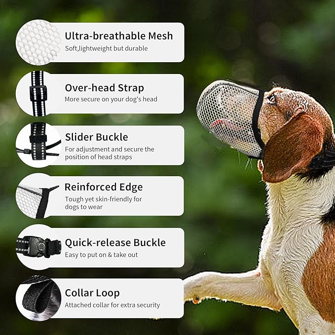 Dog Muzzle, Breathable Soft for Extra Small Dogs to Anti & Prevent Barking Biting Chewing, Reflective & Adjustable Basket Muzzle with Air Mesh for Dachshund Beige XS