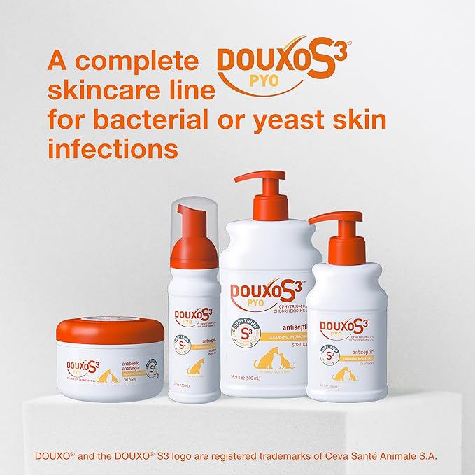 Douxo S3 Pyo Mousse, Contains 3% Chlorhexidine & 0.5% Ophytrium, Antiseptic & Hydrating, for Bacterial or Yeast Skin Infections, for Dogs, 5 fl. oz. (150mL)