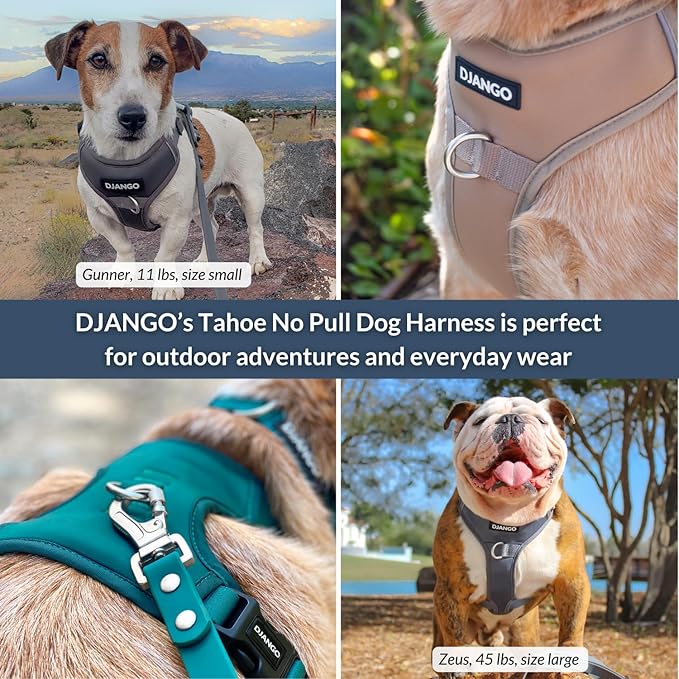 DJANGO Tahoe No Pull Dog Harness – Escape-Proof Dog Harness for Medium & Large Dogs w/Front & Back Clips for Everyday – Adjustable, Padded, Reflective, Secure, Easy On/Off – Raspberry Purple, Large