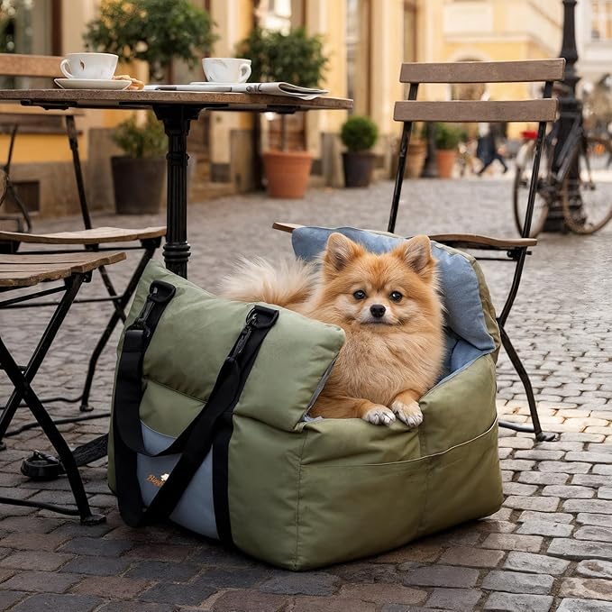 Dog Car Seat for Small Dogs: Doggy Seats Bed for Car Waterproof with Safety Leash - Pet Carseat Doggie Carriers with Storage Pockets, Hair Proof, Light Green