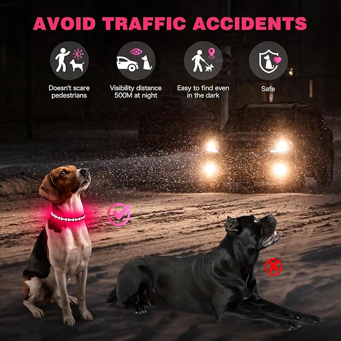 Flashseen Light Up Dog Collars, Adjustable LED Dog Collar Rechargeable, Glow in The Dark Dog Collars Super Bright Glow Collars for Night Walking for Dogs (Pink, Large)
