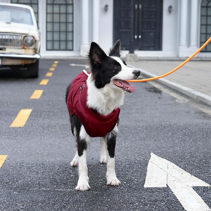 Dog Jacket with Harness,Fleece Lined Warm Puppy Coat for Winter,Soft Windproof Large Dog Vest,Red XXL