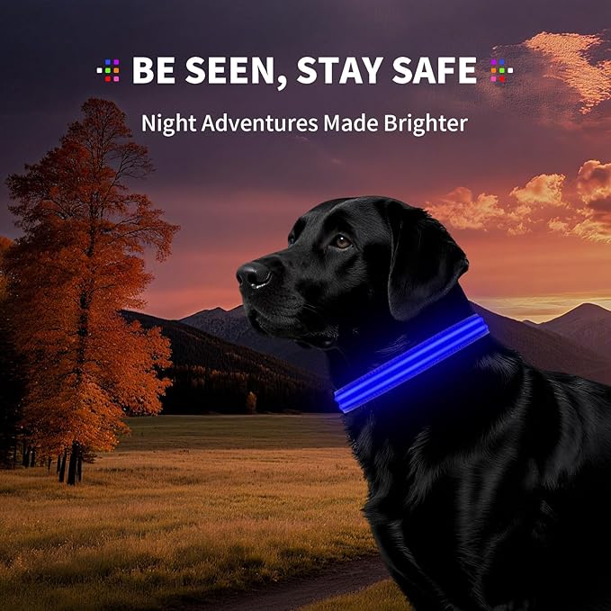 LED Dog Collar with Metal Buckle - USB Rechargeable Glow Collar for Dogs, Waterproof Light Up Dog Collar w/Reflective Strips - Adjustable Night Safety Collars by PetIsay(Blue, Small)