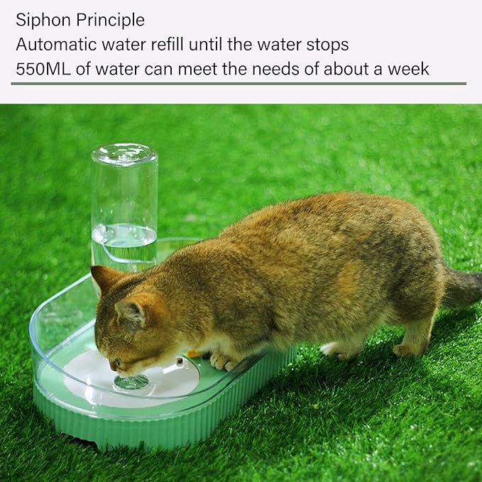 Elevated Dog Cat Bowls, Ceramic Water and Food Bowl Set with Automatic Waterer Bottle, 2 in 1 Cat Food Dispenser with Wet and Dry Food Bowl for Cats and Small Dogs Kitten Puppy(Green)