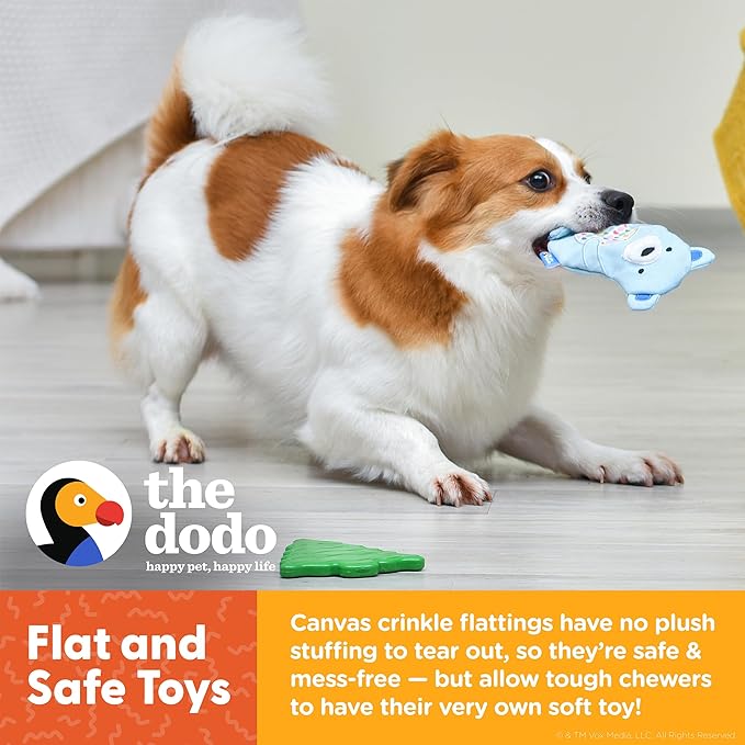 The Dodo Woodland Animals Stuffingless 2pc Dog Toy Set: Bear & Tree; No Plush Squeaky Bear Flattie Dog Toy + Rubber Tree Chew Toy; Durable Toys for Dogs (Pack of 2)