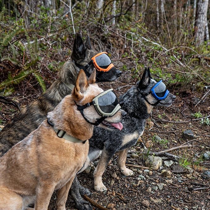 Rex Specs V2 Dog Goggles (Appalachian Orange, Medium)