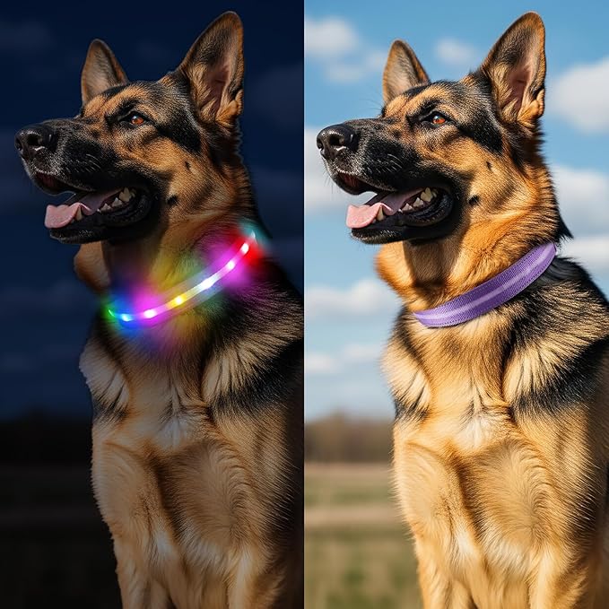 Light Up Dog Collar, USB Rechargeable 6 Modes, Waterproof Charging Port, Long Lasting LED Collar - Adjustable Nylon Reflective for Dogs, Sizes S/M/L (7/9/11 Lights) - 5 Colors (Purple, L)