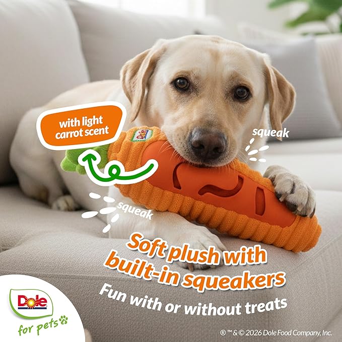 Dole for Pets® Dog Puzzle Toy with Squeaker, Carrot Snuffle Dog Treat Toy for Small and Medium Dogs, Dog Enrichment Toys