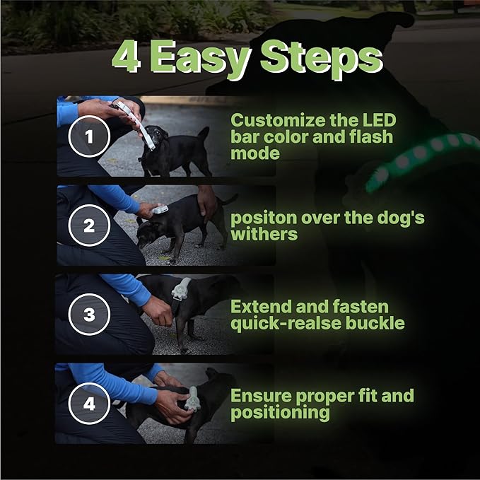 Rechargeable LED Dog Collar, Adjustable Size Light Up Collar with 360° Halo Effect, Ultra-Bright RGB Light, Weather-Resistant Design, Flash Mode, & USB-C Charging for Small, Medium & Large Dogs