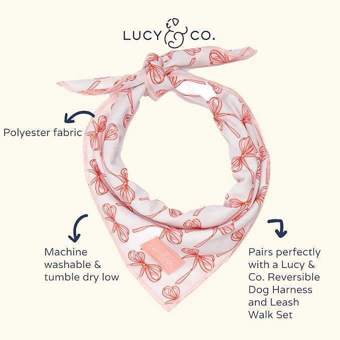 Lucy & Co. Ballet Bows Bandana - Durable Comfortable Dog Bandana - Machine Washable - Designer Puppy Accessory - Small White & Pink Bows