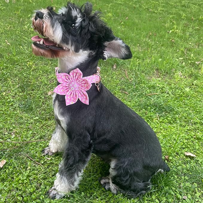 Summer Dog Collar with Flower, Cotton Cute Flower Dog Collar, Pink Flower Collar for Puppy Boy Girl Dog or Cat, Comfortable Blue Dog Collar with Metal Buckle, XS