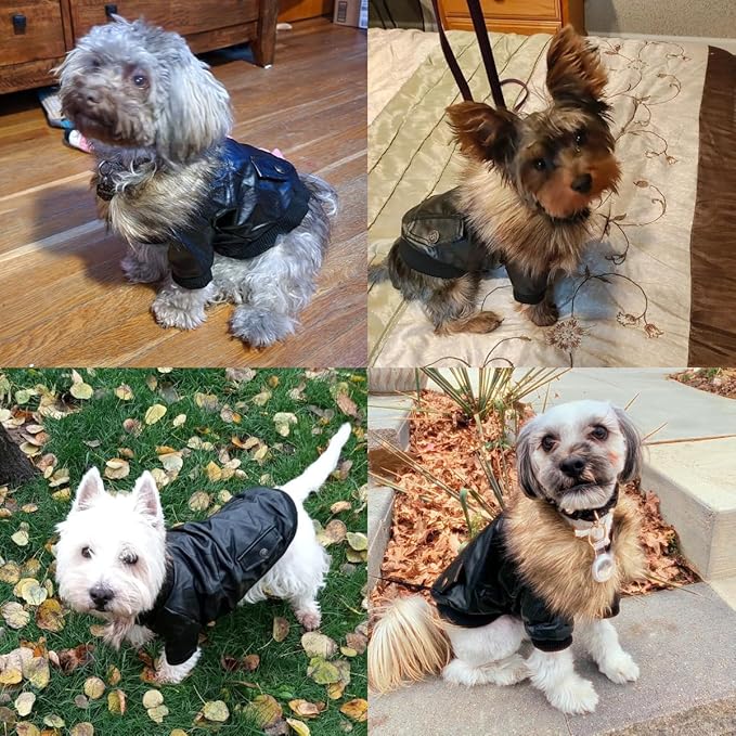 LESYPET Dog Leather Jacket for Small Dogs, Waterproof Dog Winter Jacket Puppy Coat with Fleece Lined, Ultra Warm Fur Collar Doggie Coat, Red X-Large