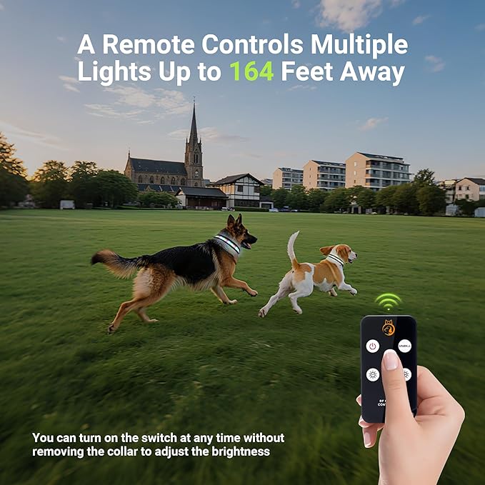 Light Up Dog Collar,Rechargeable Waterproof Led Dog Collar with Remote,Glow in Dark for Night Walking, Fits Small Medium Large Dogs-L