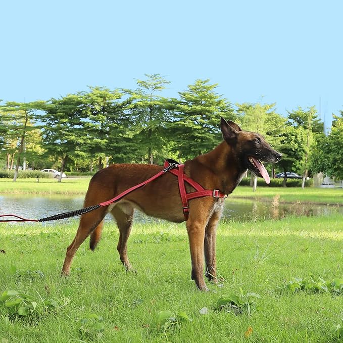 No Pull Dog Harness, Reflective Puppy Harness with Soft Padded Handle, Escape Proof/Quick Fit Adjustable Pet Harness for Small Medium Large Dogs, Easy for Training Walking (Red, XL)