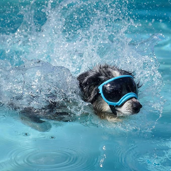 Rex Specs V2 Dog Goggles (Extra Small, Big Horn Blue)