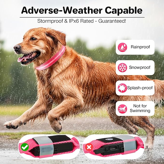 Light Up Dog Collar, USB Rechargeable 6 Modes, Waterproof Charging Port, Long Lasting LED Collar - Adjustable Nylon Reflective for Dogs, Sizes S/M/L (7/9/11 Lights) - 5 Colors (Pink, L)