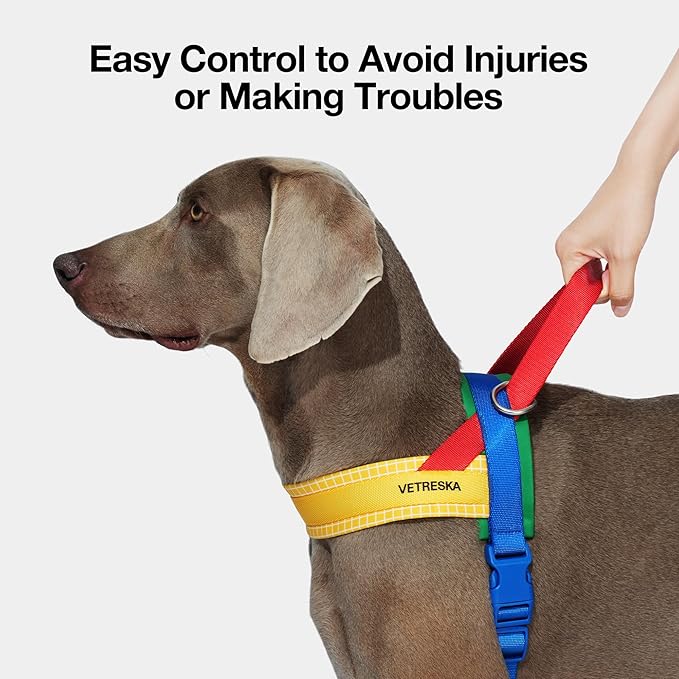 VETRESKA MoMA Dog Harness for Medium Large Dogs, Easy Walk Dog Harness and Leash Set, No Pull Dog Vest Harness for Walking and Training, Adjustable, Take Control & Anti-Twist Pet Lead Combo(Yellow, M)