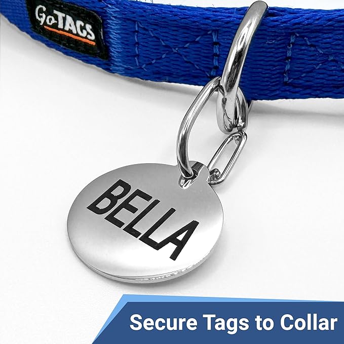 GoTags Pet ID Dog Tag Clip, Strong Durable Dog and Cat Tag Connector, Quick Clip to Pet Collars, Easy Upgrade for Split Ring, Mini Carabiner Made of Stainless Steel, Pack of 2