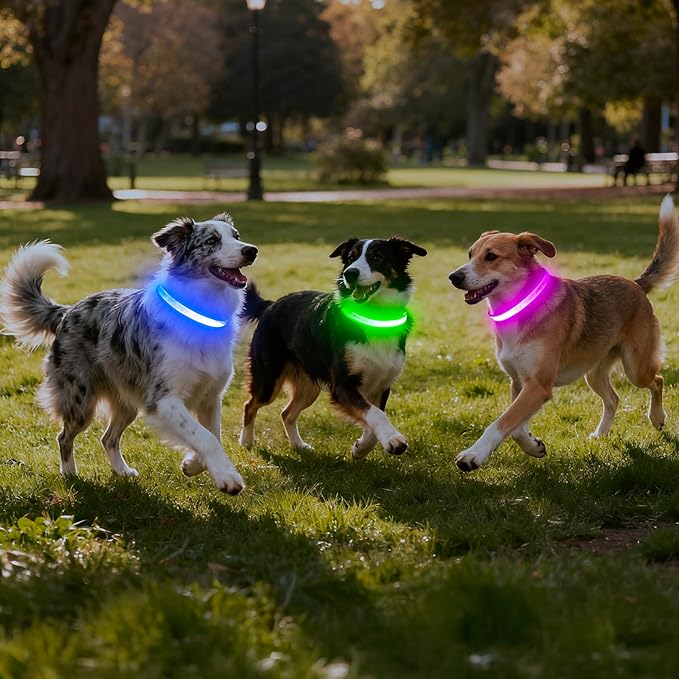 VIZPET LED Dog Collar, Light Up Dog Collar Adjustable USB Rechargeable Super Bright Safety Light Glowing Collars for Dogs (Purple, Small[11.02-15.74 inch/28-40cm])