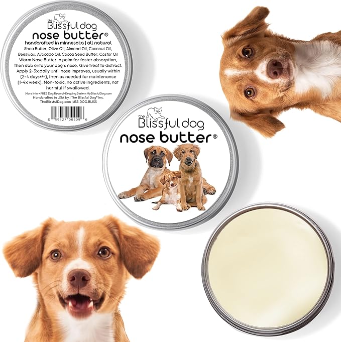 The Blissful Dog Mixed Breed Unscented Nose Butter - Dog Nose Butter, 4 Ounce