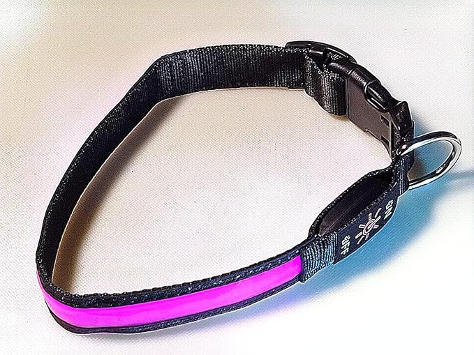 Glow Fetch It! HD Ultra Bright LED Safety Dog Collar, Adjustable, USB Rechargeable with 3 Modes, Water Resistant, Extremely Durable and Easy to Clean (Pink, Medium)