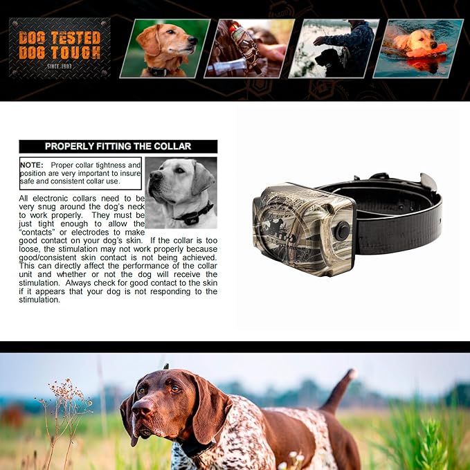 DT Systems H2O 1810, 1820, 1830 Plus Series Add-On/Replacement Collar Receiver, Waterproof Rechargeable Remote Hunting Dog Training Additional E-Collar, 1800-Yard Range, 16 Stimulation Levels, Camo