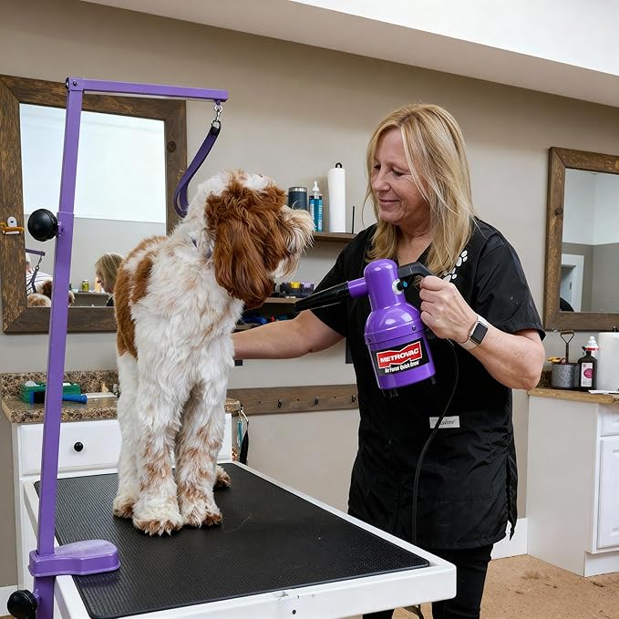 METROVAC Quick Draw Compact Pet Dryer - Pet Hair Remover - Cosmic Purple & Variable Speed