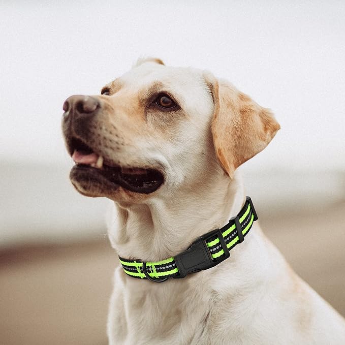 Mile High Life Reflective Dog Collar | Nylon Pet Collars wiith Buckle | Light Weight Puppy Collars | Lime Green Dog Collars for Large Dogs (Lime Green, L)